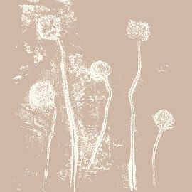 Abstract botanical art. Flowers in neutral pastel colors. White clover on beige by Dina Dankers