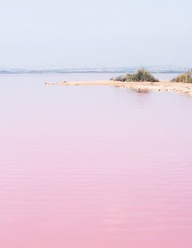 Roze zoutmeer van Torrevieja, Spanje
