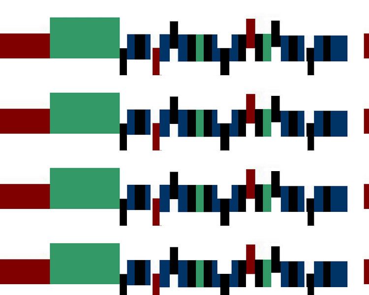 senzatitolo.4 par rita sacco