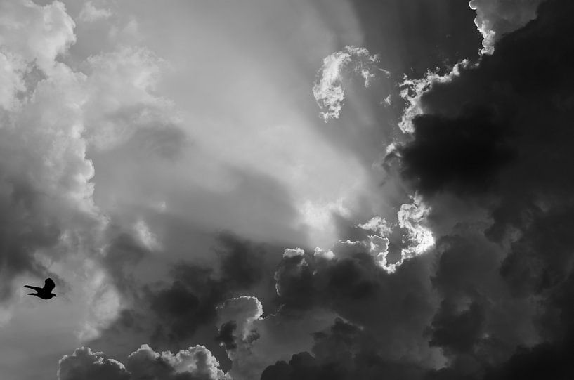 Vlieg in zwart-wit naar de zon. von Pierre Timmermans