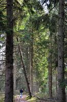 Lentewandeling