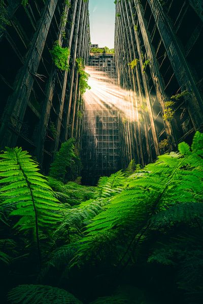 Abandoned city with plants by Poster Art Shop