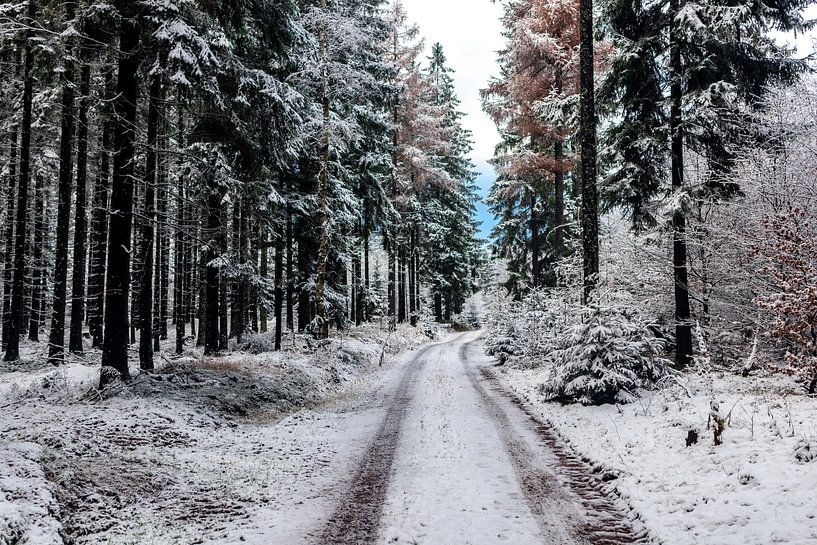 Exploration du versant sud-ouest de la forêt de Thuringe par Oliver Hlavaty