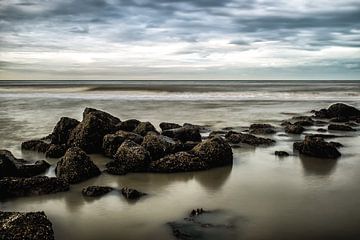 De Belgische kust van Ronald De Neve