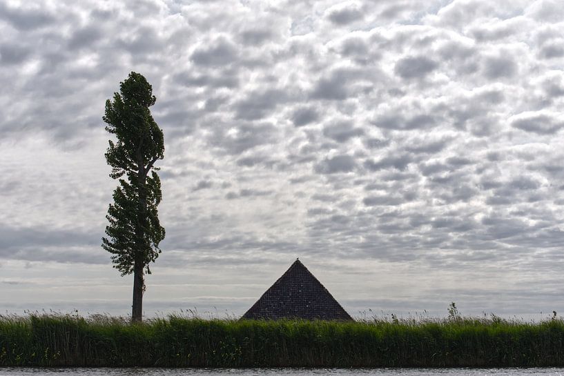 De polderdijk van Hans Lok