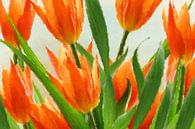 Tulpen abstrakt von Marion Tenbergen Miniaturansicht