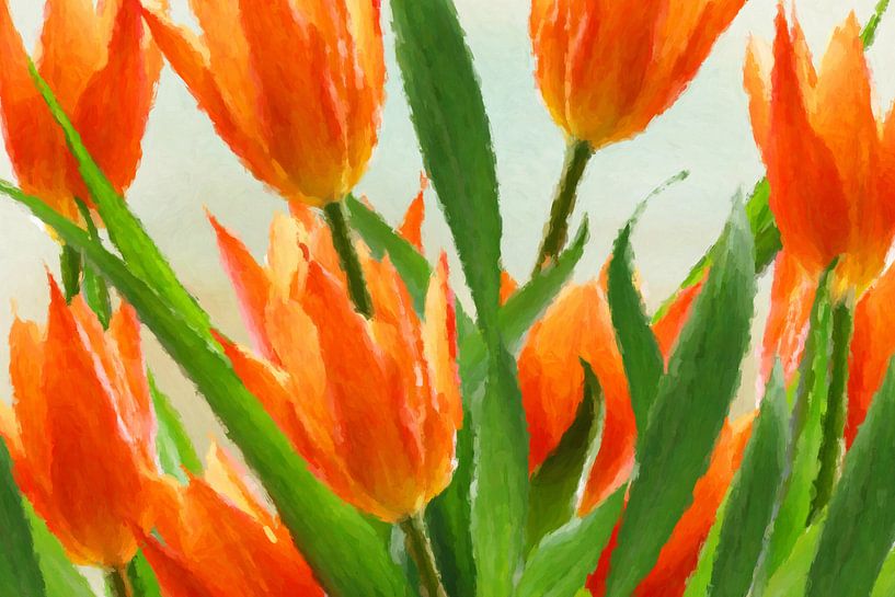 tulipes abstraites par Marion Tenbergen