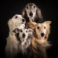 Bohemian Rhapsody