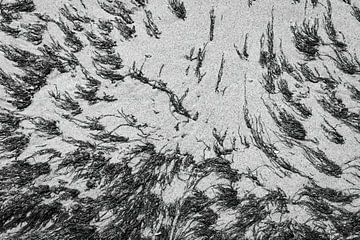 Seegrasstrukturen am Strand in Schwarz-Weiß von Sjaak den Breeje