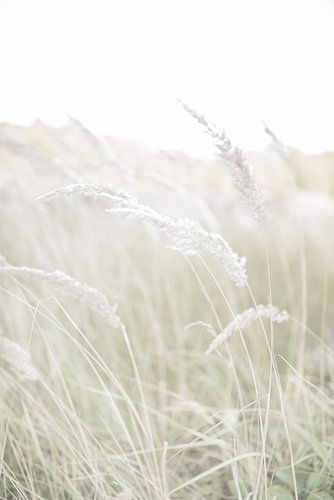 Tanzen im Wind