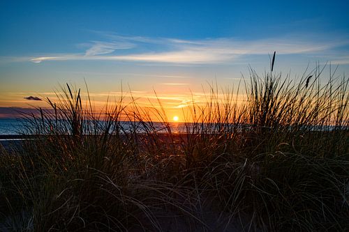 Coucher de soleil avec le Helmetgrass