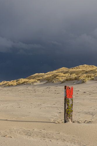 Dark clouds on the beach