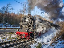 Die Rübelandbahn unter Volldampf von t.ART