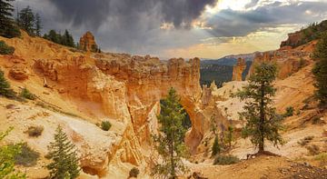 Bryce Canyon National Park, Panoramic photo by Gert Hilbink