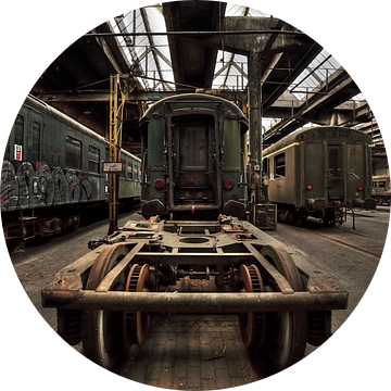 Urbex hal met oude treinen en wagons van Dyon Koning