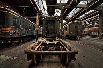 Urbex hal met oude treinen en wagons van Dyon Koning