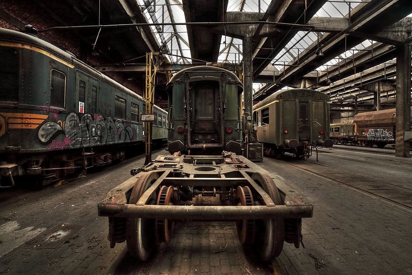 Urbex hal met oude treinen en wagons van Dyon Koning