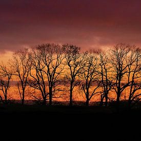 december zonsondergang van Klaus Feurich Photography