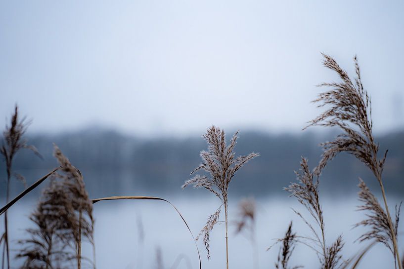 Wintertag von Akos Terdik
