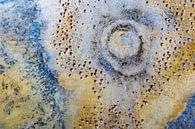 In space by Patty Elferink thumbnail