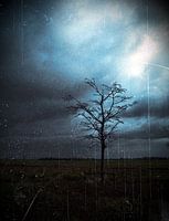 Alone