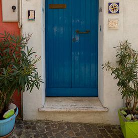 Blue Italian Door by MDRN HOME