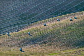Hay rolls in Tuscany