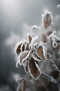 Frozen Nature von Treechild