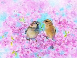 Deux moineaux dans le cerisier en fleurs