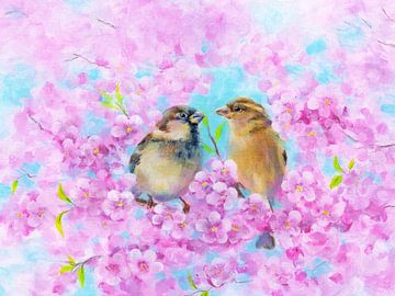 Zwei Spatzen im blühenden Kirschbaum