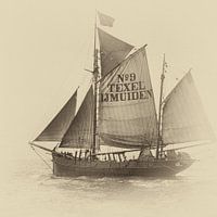 Loodskotter nummer 9 IJmuiden Texel