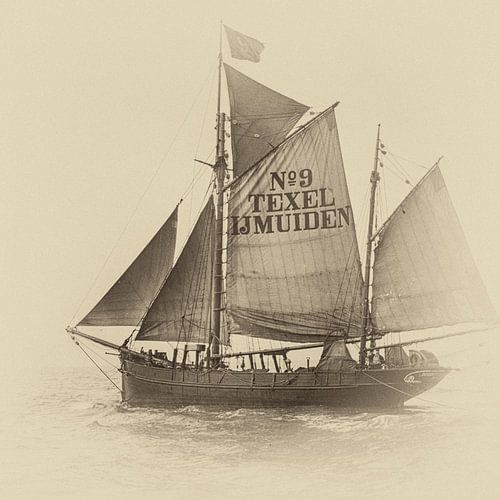 Loodskotter nummer 9 IJmuiden Texel
