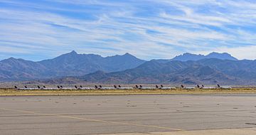 Aircraft storage in the Arizona desert. by Jaap van den Berg