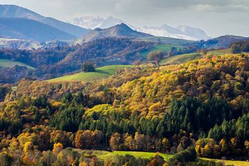 The foreland of the Pyrenees