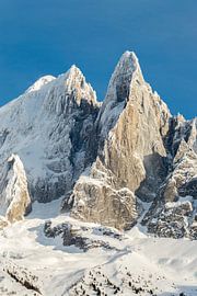 Drus and Green Needle by Jc Poirot