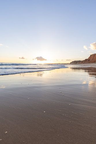 Zonsondergang op het zandstrand Praia da Falésia. Kliffen Roze bloemen bij Albufeira, Portugal