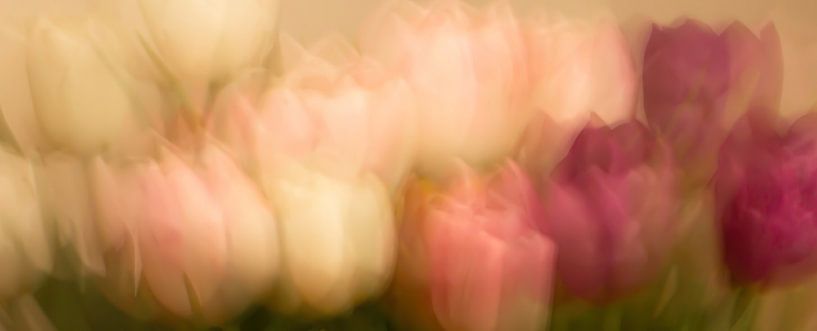 Bouquet de tulipes pittoresque II par Klaartje Majoor