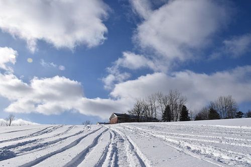 Sporen van sneeuwscooters in een veld
