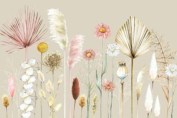 Dried flowers pampas grasses by Geertje Burgers