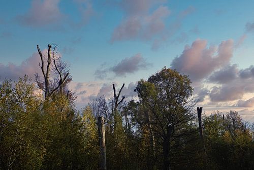 Spannende Himmel