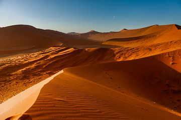 Rode zandduinen in Namibië van Simone Janssen