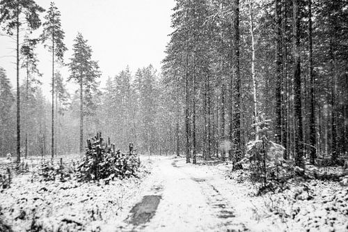 Dwarrelende sneeuw