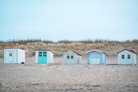 Texel by Chantal Goos