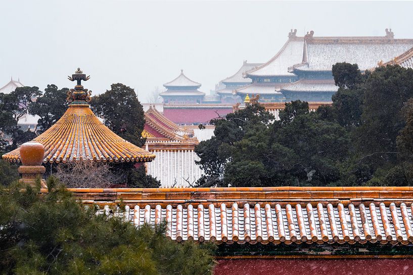 Besneeuwde daken van de Verboden Stad in Beijing van Chi