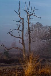 "Dood maar toch levend" von Patrick Ruitenbeek