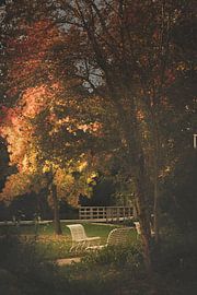 Vestingpark Bredevoort van Joske Kempink