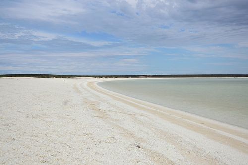 Miljarden kleine schelpjes