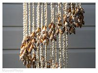 Sea pearls