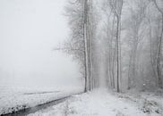 Sneeuwlandschap tijdens een sneeuwbui - de Scheeken von Wicher Bos Miniaturansicht