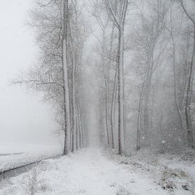 Sneeuwlandschap tijdens een sneeuwbui - de Scheeken van Wicher Bos